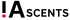 iA Scents Logo